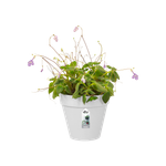 loft urban green wall single 15cm blanc
